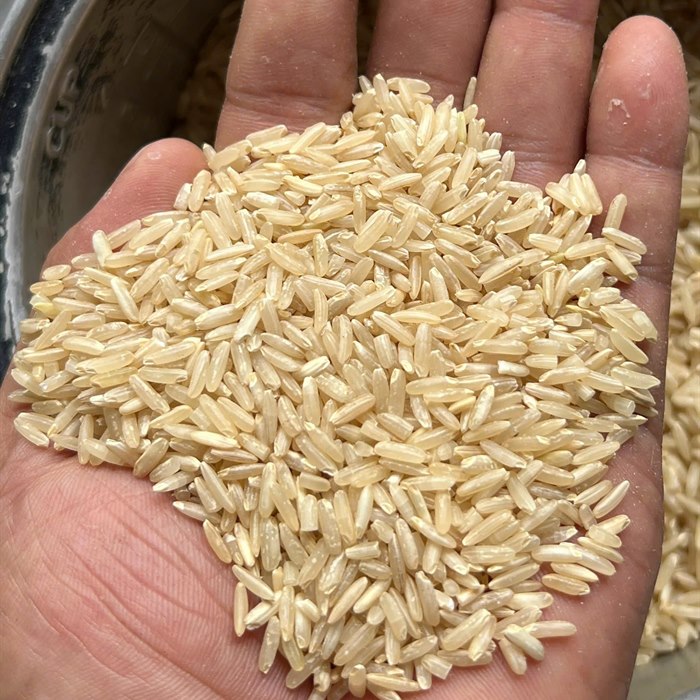 Red Rice