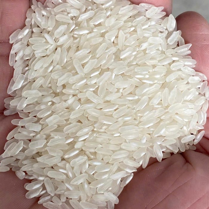 Medium Rice